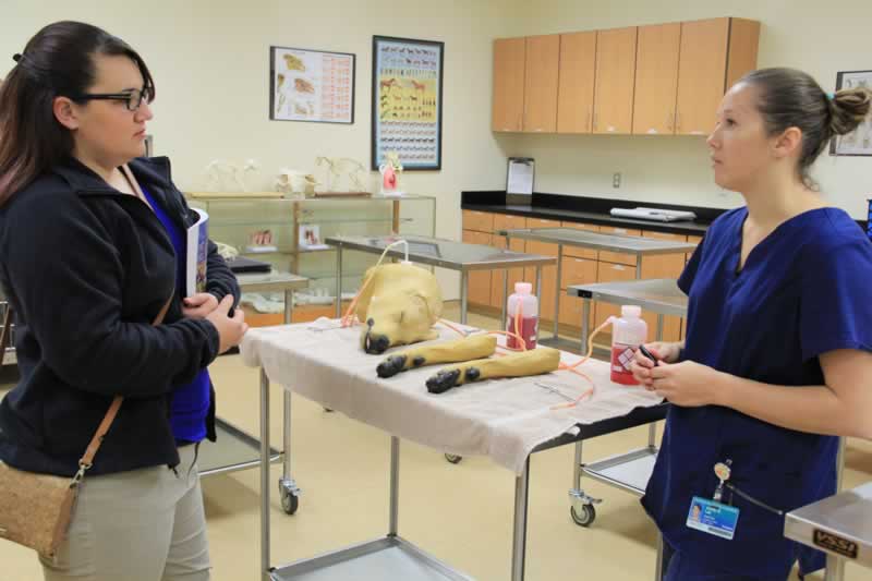 decorative image of 1121-VET-TECH-PIX_hpbzlc , Pensacola State’s Vet Tech program holds open house Nov. 10 2017-01-17 14:08:28