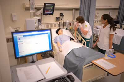 decorative image of W_labD02_awhedk , BSN Program at PSC Earns Dual National Accreditation 2017-01-17 14:23:48