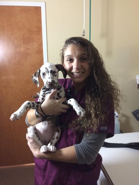 decorative image of 0606-PB-1-Jasmine-Gann-2 , Veterinary Nurse Internship 2017-06-06 09:34:02