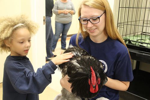 decorative image of Vet-tech-MAIN , Vet Tech Open House draws a large crowd 2017-11-14 13:53:38