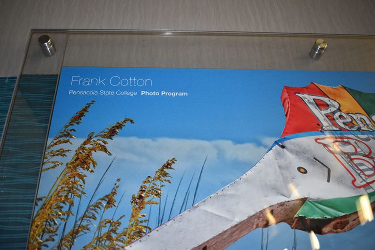 Pirates Themed Photo Display at Pensacola State College Pirates-themed photo display featuring a flag and natural scenery at Pensacola State College campus.