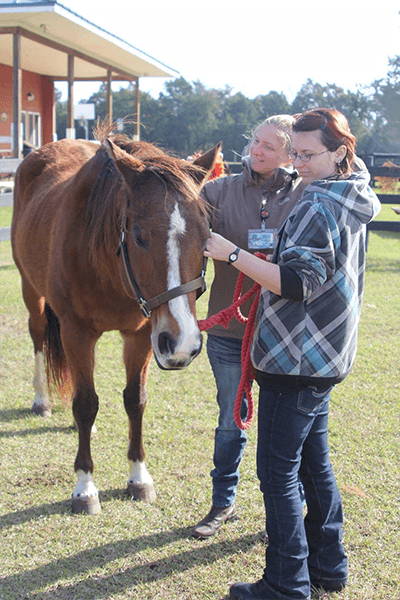 Jennifer HIll and Kim Grice with horse decorative image of Jennifer-HIll-and-Kim-Grice-with-horse , 2018-10-25 14:30:35