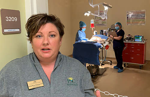 sarah_500 decorative image of sarah_500 , PSC Veterinary Technology students welcome the public into their 'hospital' 2019-11-18 08:57:41