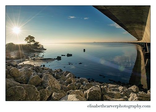 decorative image of lisacarver , PSC photography student wins month-long exhibit at Jaco’s 2020-05-08 10:39:17