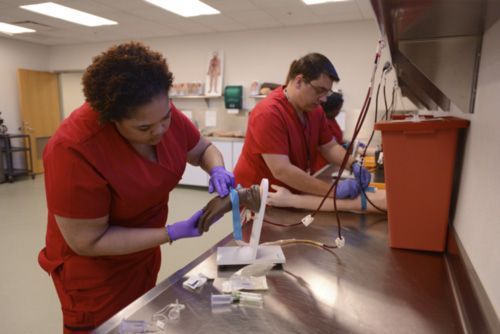 decorative image of allied-health , Earn a health care vocational certificate at PSC in as little as eight weeks 2020-06-03 15:31:50