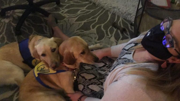 Therapy dogs Rudy and Milly at Pensacola State College campus, promoting emotional support and campu.