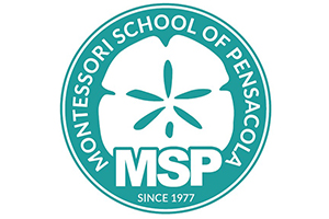 decorative image of msp-logo , International Festival | Supporters 2023-03-14 12:54:54