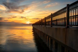 Decorative image of a photograph entered into the Jaco's photo contest.