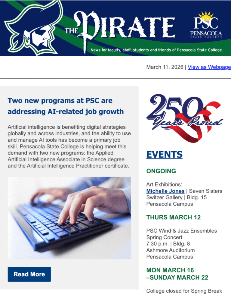 Decorative image of the Pirate Newsletter 031126.