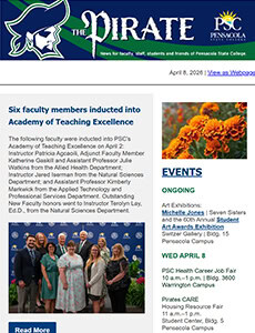 Decorative image of the Pirate Newsletter, 040826.