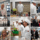 A) Graze, Grapes & Grains celebrates the PSC Foundation’s President’s Circle donors while showcasing the creativity and skills of culinary and hospitality management students.